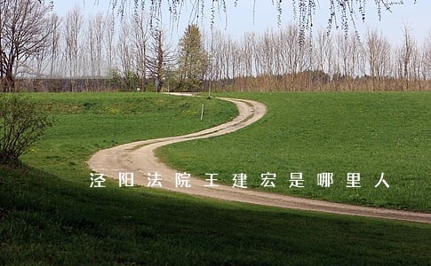 泾阳法院王建宏是哪里人 泾阳法院王建宏是哪里人