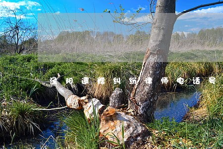 泾阳遗赠纠纷律师电话号码 泾阳遗赠纠纷律师电话号码