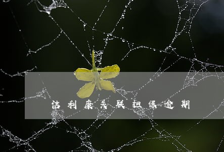 洁利康关联担保逾期