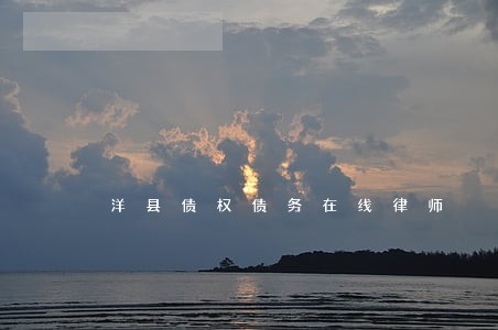 洋县债权债务在线律师 洋县债权债务在线律师