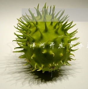洋河开发商办理房产证逾期 洋河开发商办理房产证逾期