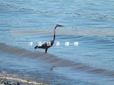 洋泾债务律师