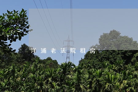 洋浦老法院租房 洋浦老法院租房