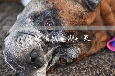 洋罐借钱逾期4天 洋罐借钱逾期4天