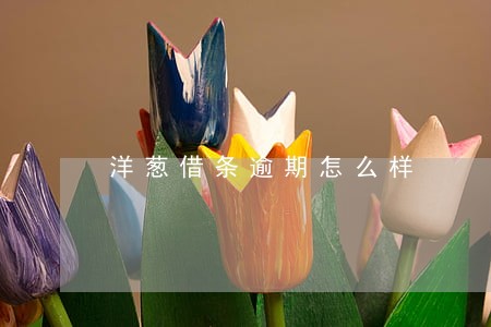 洋葱借条逾期怎么样