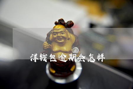洋钱包逾期会怎样 洋钱包逾期会怎样