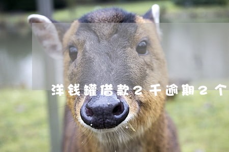 洋钱罐借款2千逾期2个月 洋钱罐借款2千逾期2个月