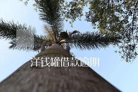 洋钱罐借款逾期 洋钱罐借款逾期