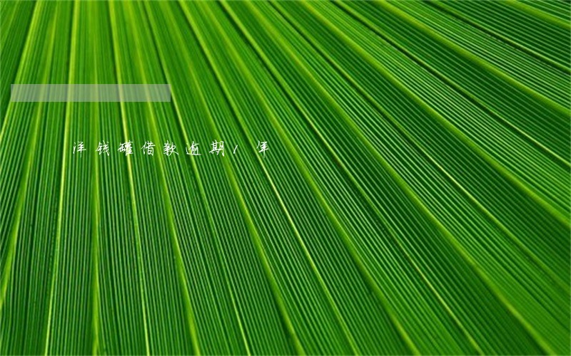 洋钱罐借款逾期1年