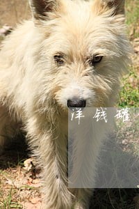 洋钱罐借款逾期3个月 洋钱罐借款逾期3个月