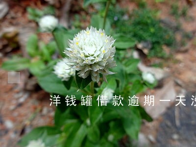 洋钱罐借款逾期一天没关系吗