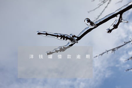 洋钱罐借款逾期了 洋钱罐借款逾期了