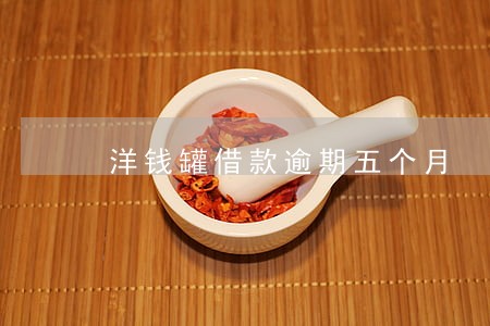 洋钱罐借款逾期五个月 洋钱罐借款逾期五个月