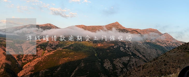 洋钱罐借款逾期会上门催收吗 洋钱罐借款逾期会上门催收吗