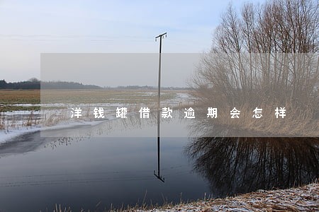 洋钱罐借款逾期会怎样 洋钱罐借款逾期会怎样