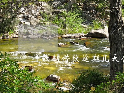 洋钱罐借款逾期几天会爆通讯录 洋钱罐借款逾期几天会爆通讯录