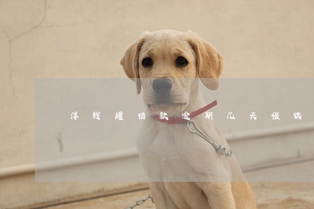 洋钱罐借款逾期几天催收 洋钱罐借款逾期几天催收