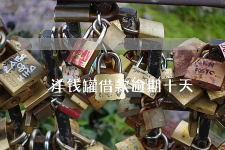洋钱罐借款逾期十天 洋钱罐借款逾期十天