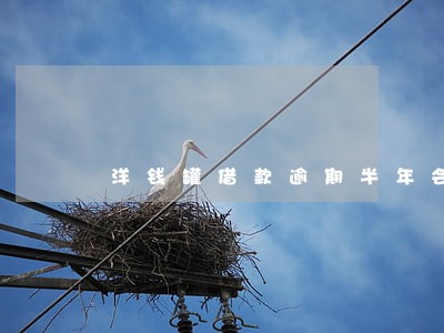 洋钱罐借款逾期半年会怎么样 洋钱罐借款逾期半年会怎么样