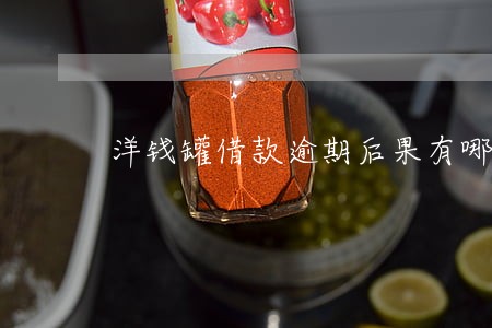 洋钱罐借款逾期后果有哪些 洋钱罐借款逾期后果有哪些