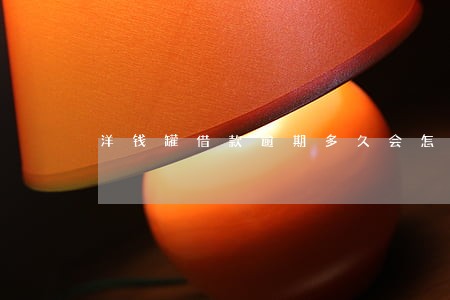 洋钱罐借款逾期多久会怎样 洋钱罐借款逾期多久会怎样
