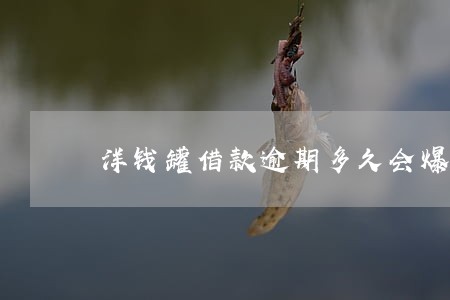洋钱罐借款逾期多久会爆通讯录 洋钱罐借款逾期多久会爆通讯录