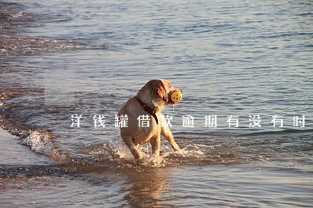 洋钱罐借款逾期有没有时间长的 洋钱罐借款逾期有没有时间长的
