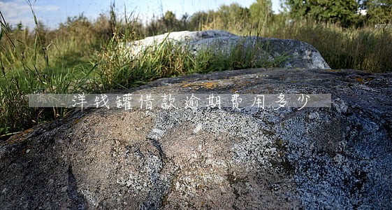 洋钱罐借款逾期费用多少 洋钱罐借款逾期费用多少
