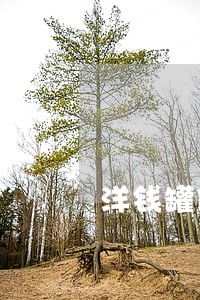 洋钱罐借钱逾期了不还会怎么样 洋钱罐借钱逾期了不还会怎么样