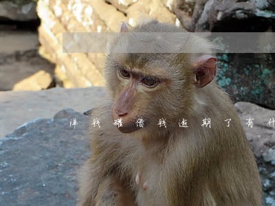 洋钱罐借钱逾期了有什么事 洋钱罐借钱逾期了有什么事