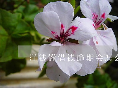 洋钱罐借钱逾期会怎么样 洋钱罐借钱逾期会怎么样