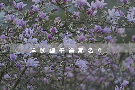 洋钱罐子逾期名单 洋钱罐子逾期名单