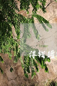 洋钱罐现金借款app逾期
