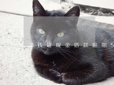 洋钱罐现金借款逾期5000 洋钱罐现金借款逾期5000