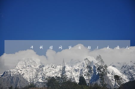 洋钱罐网贷逾期5天没人催