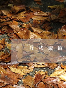 洋钱罐逾期20多天没爆通讯录 洋钱罐逾期20多天没爆通讯录