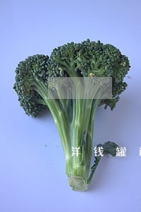 洋钱罐逾期90天会怎样 洋钱罐逾期90天会怎样