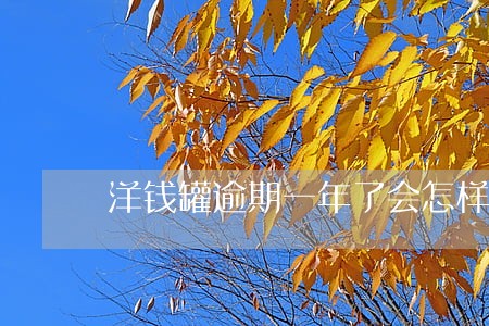 洋钱罐逾期一年了会怎样 洋钱罐逾期一年了会怎样