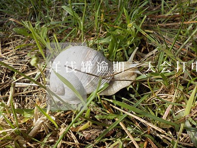 洋钱罐逾期三天会打电话吗 洋钱罐逾期三天会打电话吗