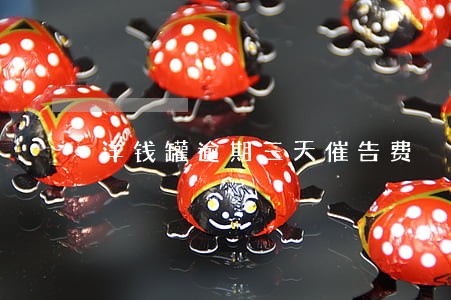 洋钱罐逾期三天催告费 洋钱罐逾期三天催告费