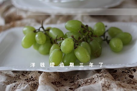 洋钱罐逾期三年了 洋钱罐逾期三年了