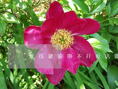 洋钱罐逾期不打电话催了 洋钱罐逾期不打电话催了