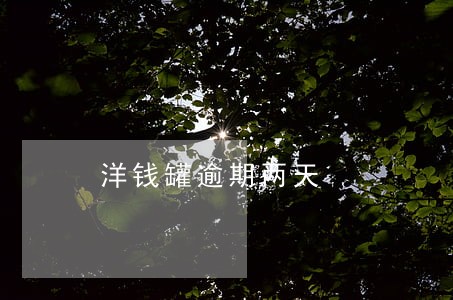 洋钱罐逾期两天 洋钱罐逾期两天