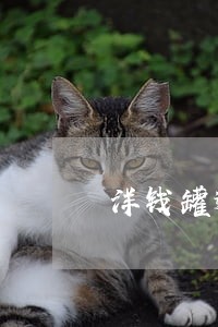 洋钱罐逾期两天会怎么样 洋钱罐逾期两天会怎么样