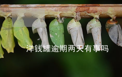 洋钱罐逾期两天有事吗 洋钱罐逾期两天有事吗