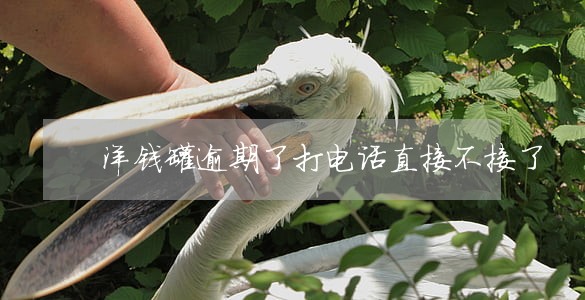 洋钱罐逾期了打电话直接不接了 洋钱罐逾期了打电话直接不接了