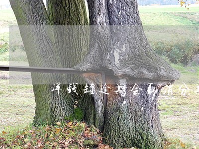 洋钱罐逾期会取消分期吗 洋钱罐逾期会取消分期吗