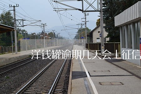 洋钱罐逾期几天会上征信 洋钱罐逾期几天会上征信