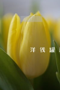 洋钱罐逾期几天会上征信吗 洋钱罐逾期几天会上征信吗