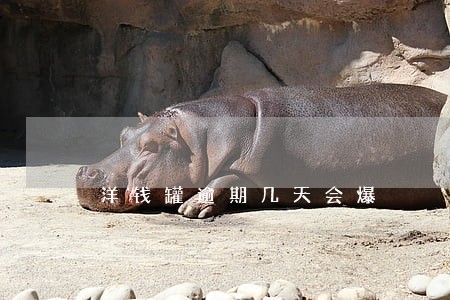 洋钱罐逾期几天会爆 洋钱罐逾期几天会爆
